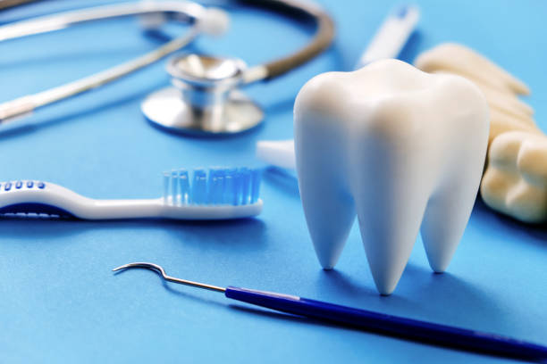 Professional  Dental Services in Lemay, MO